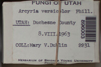 Image Associated With the Occurence